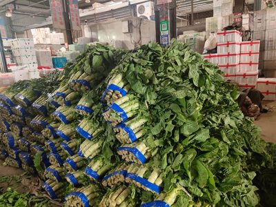 蔬菜“身价”翻番,去台州市区最大的蔬菜批发集散地一探究竟