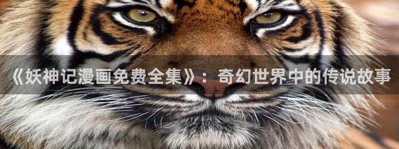 虫虫漫画登录页面在线阅读入口