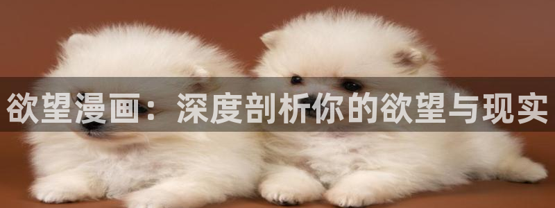 虫虫漫画登录页面