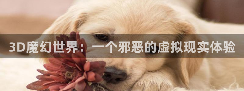 虫虫漫画资源下载