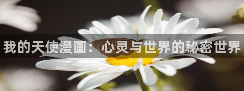 虫虫漫画免费漫画入