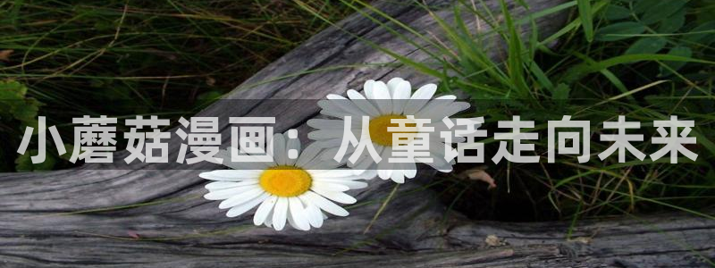 阿罗拉之夜虫虫漫画