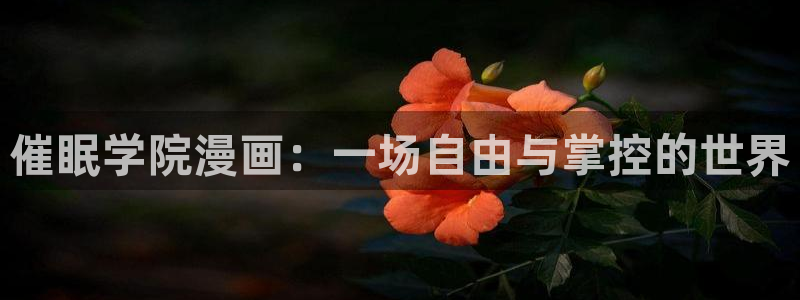 虫虫漫画歪歪漫画